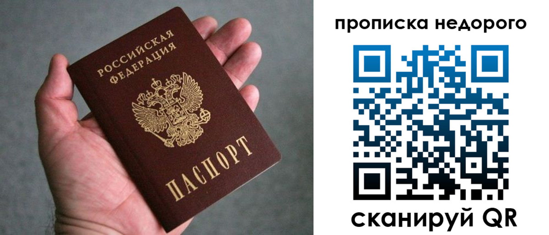 прописка поиск в Дубовке